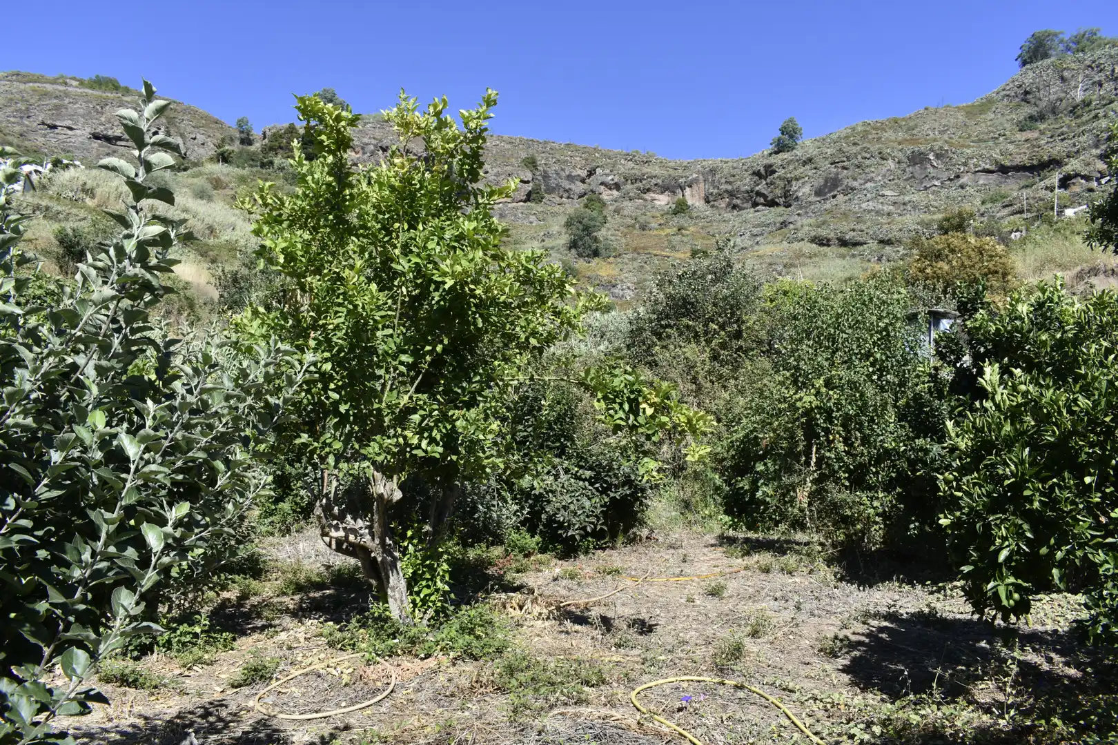 Casa o xalet en venda en Teror amb Calefacció, Jardí privat i Terrassa