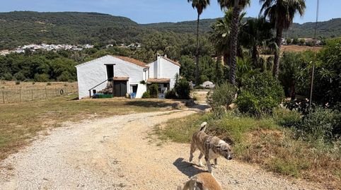 Foto 3 de Finca rústica en venda a Gaucín, Málaga