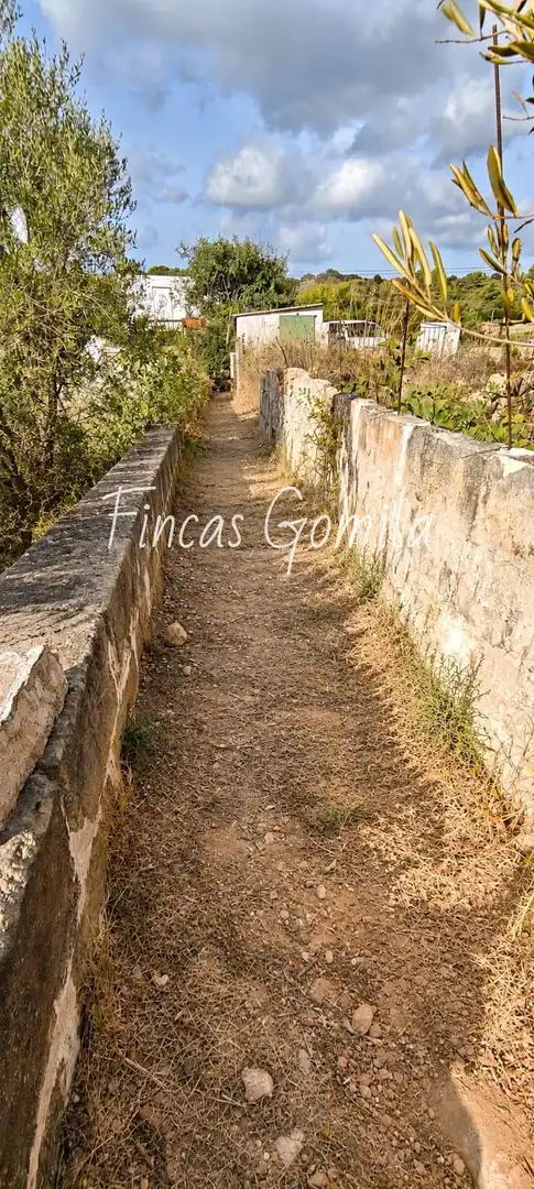 Rural land for sale in me-1, imagen 2