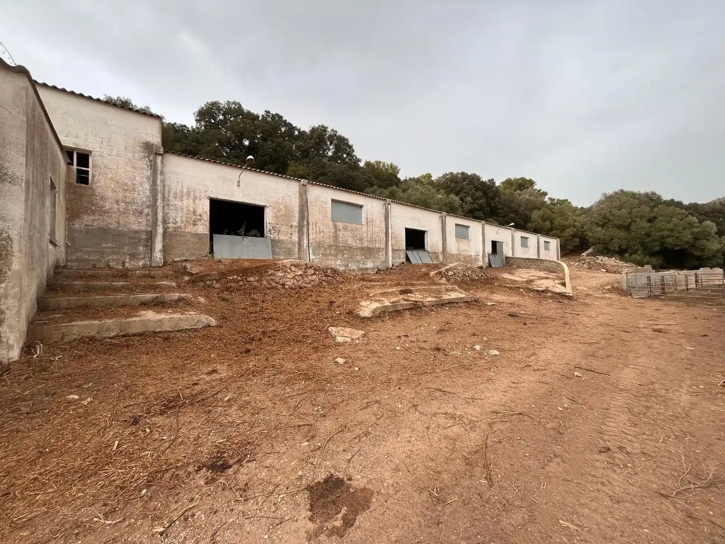 Vista exterior de Finca rústica en venda en Es Mercadal amb Jardí privat