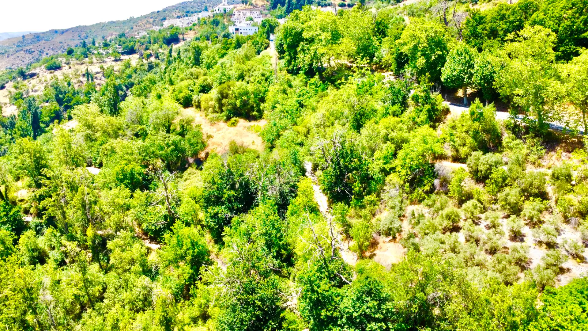 Vista exterior de Finca rústica en venta en Alpujarra de la Sierra