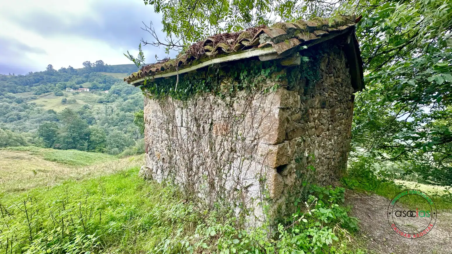 Terreno rustico in vendita a Cabranes - TORAZO, imagen 10
