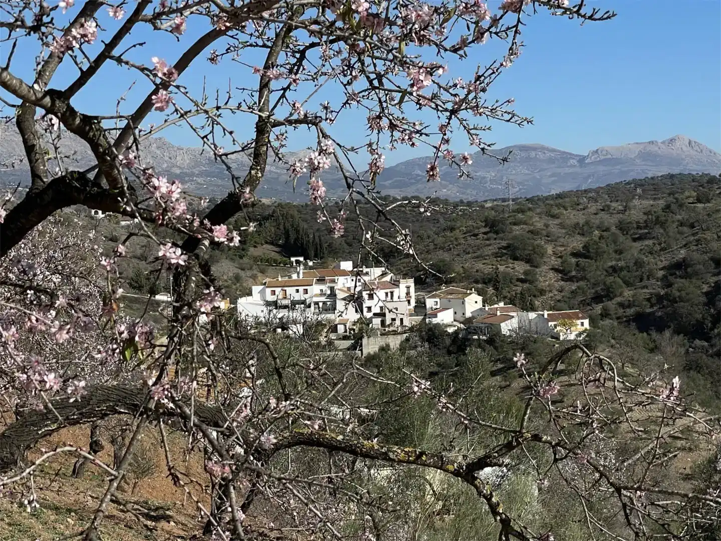 Vista exterior de Piso en venta en Almogía, Málaga