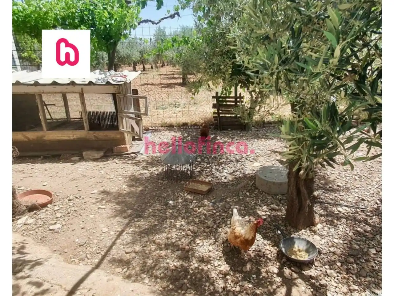 Casa o chalet en venta en Calle Ocaña, La Reconquista