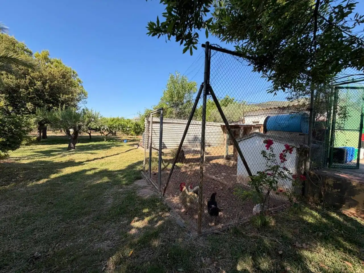 Chalet con piscina en venta en Camino Assut, imagen 45