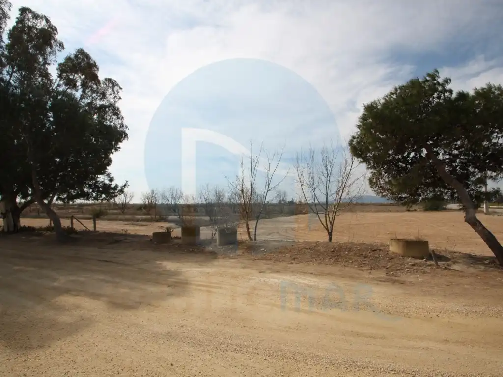Business premises for sale in Deltebre, imagen 14
