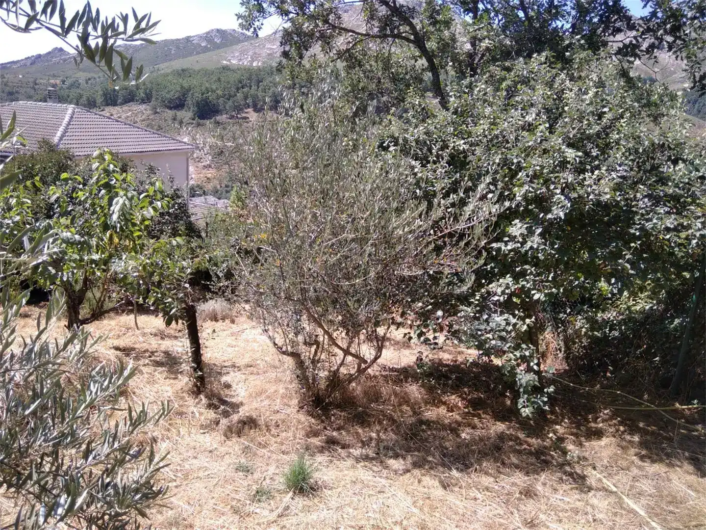 Finca rústica en venda en Prádena de Atienza