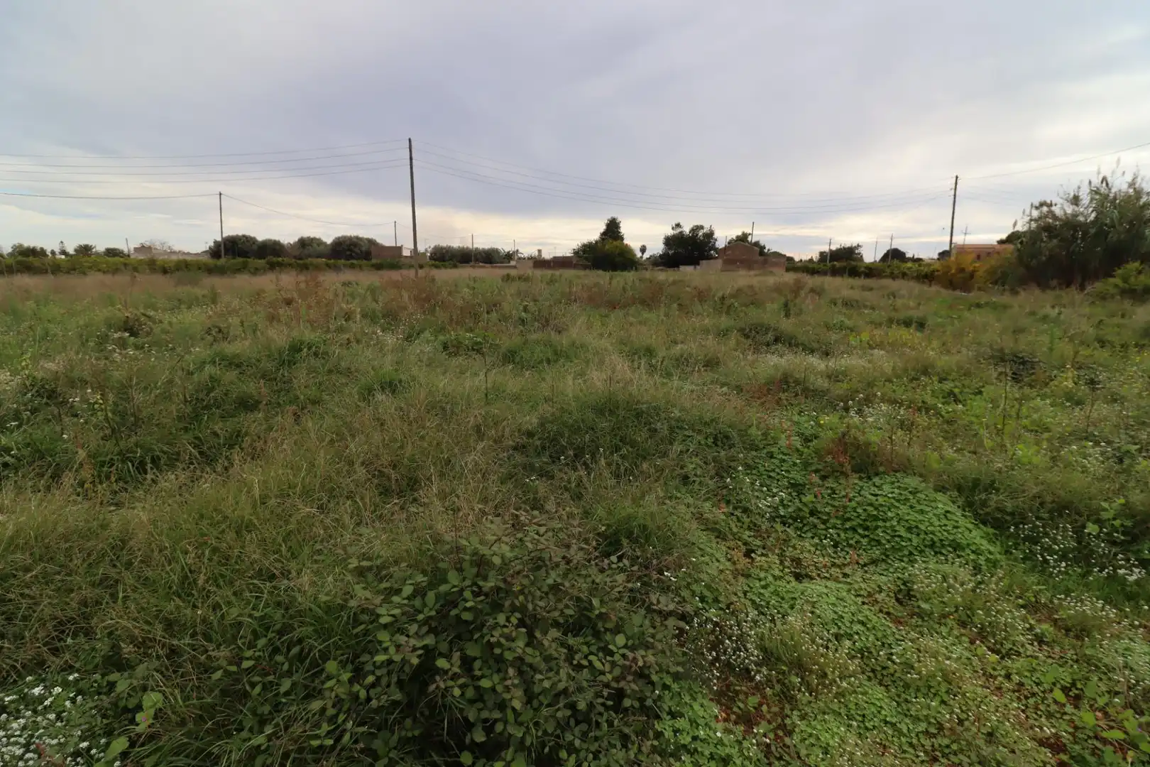 Terreno rústico en venta en Alcanar, imagen 14