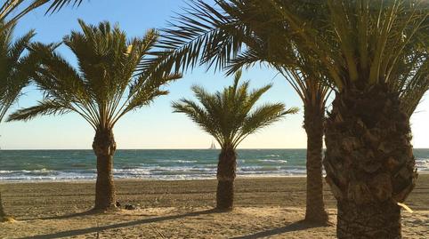 Photo 4 of Planta baja for sale in Carrer Almirante Antequera, Playa Levante, Alicante