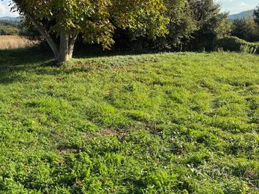Terreno residenziale in vendita a Vilasuso 7