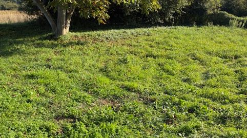 PARCELA A TRES MINUTOS DEL CENTRO DE LARACHA PARA CHALET CON PROYECTO Y LICENCIA.