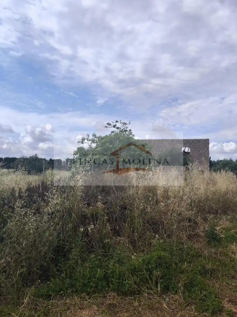 Terrenys i solars en venda a Sa Pobla, imagen 28