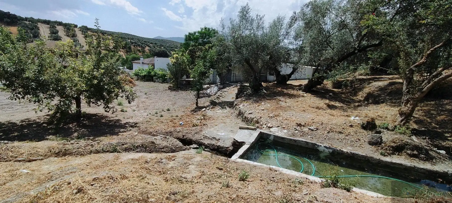 Maison à vendre à Rute, imagen 2