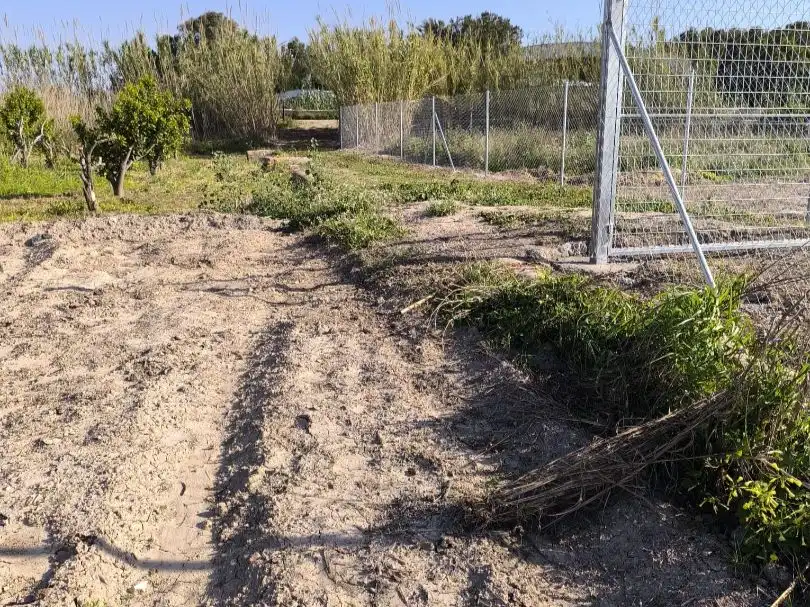 Terreno en venta en Benijófar