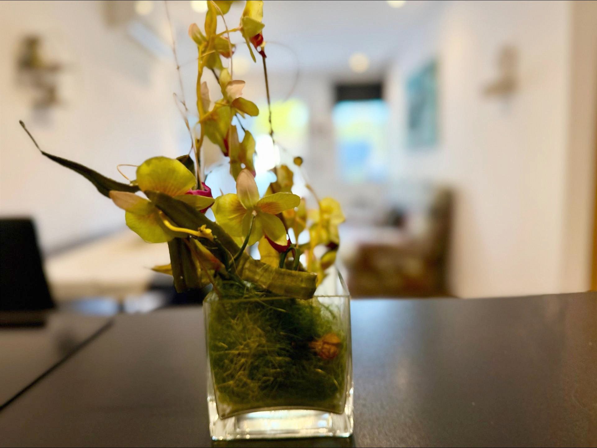 Casa o chalet en venta en Torrevieja con Aire acondicionado, Jardín privado y Terraza