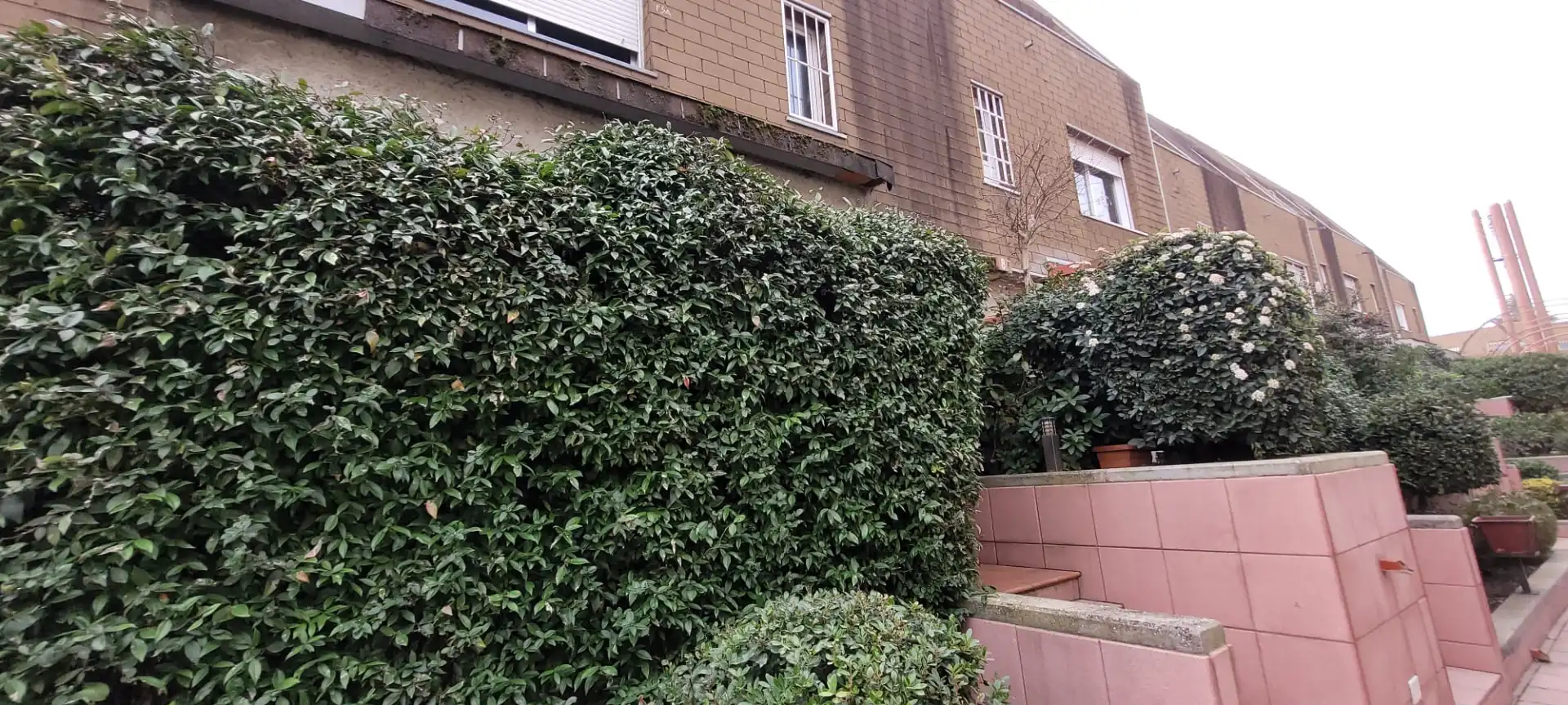 Vista exterior de Casa o xalet en venda en Pozuelo de Alarcón amb Jardí privat