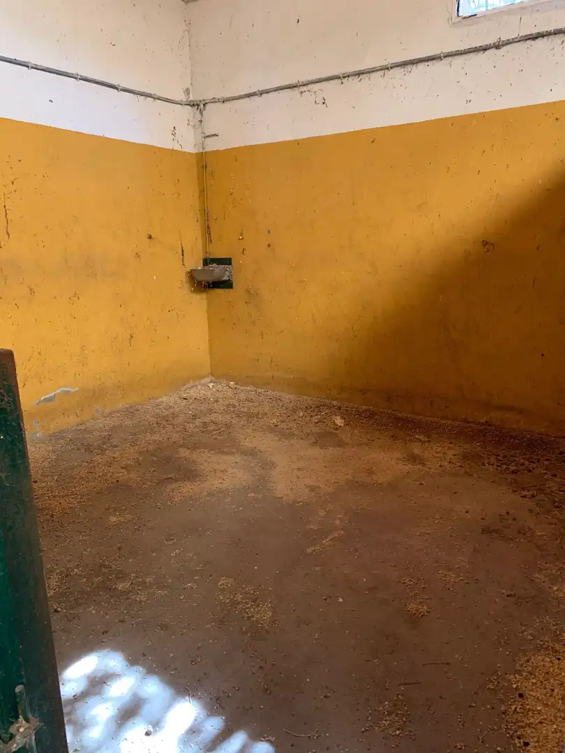 Land for sale in Calle Hernán Cortés, 20, Jaraicejo