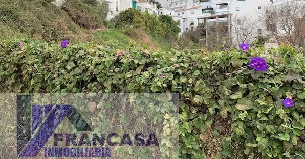 Terreni e lotti in vendita a Cómpeta, imagen 3