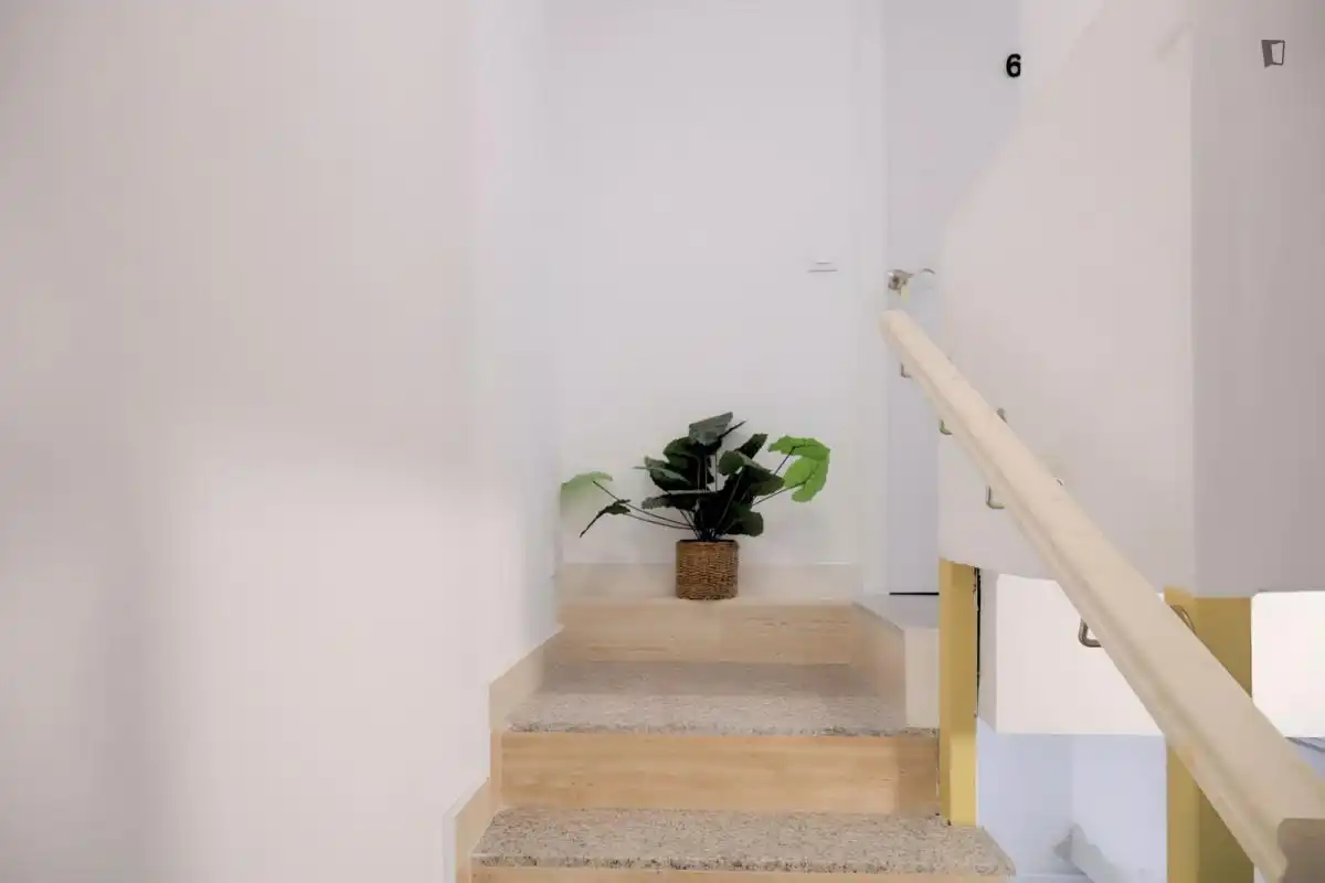 Apartments for rent in Opañel