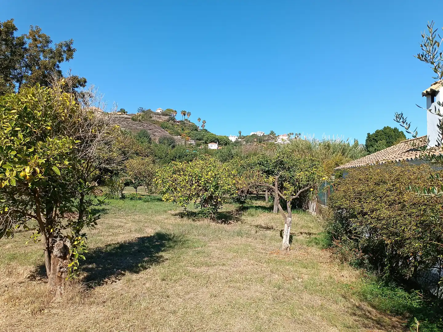 Finca rústica en venta en Estepona con Jardín privado, Terraza y Amueblado