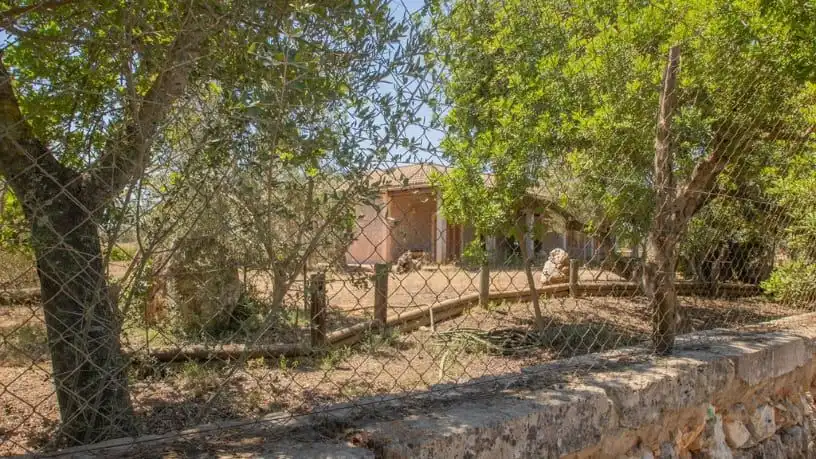 Haus oder Chalet zum Verkauf in polig 4 - Parcelas 485 y 52 (terrades), Santa María del Camí
