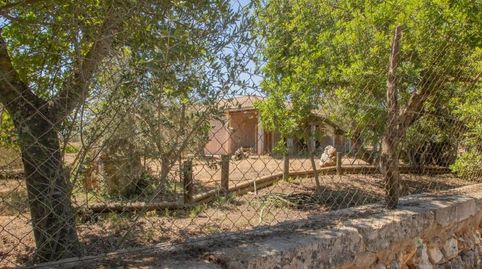 Foto 5 von Haus oder Chalet zum Verkauf in Polig 4 - Parcelas 485 y 52 (terrades), Santa María del Camí, Illes Balears