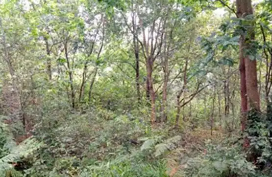 Residential for sale in SANDONI COORD UTM ETRS-89 (510.370, 4.790.830) H, -1, Zamudio