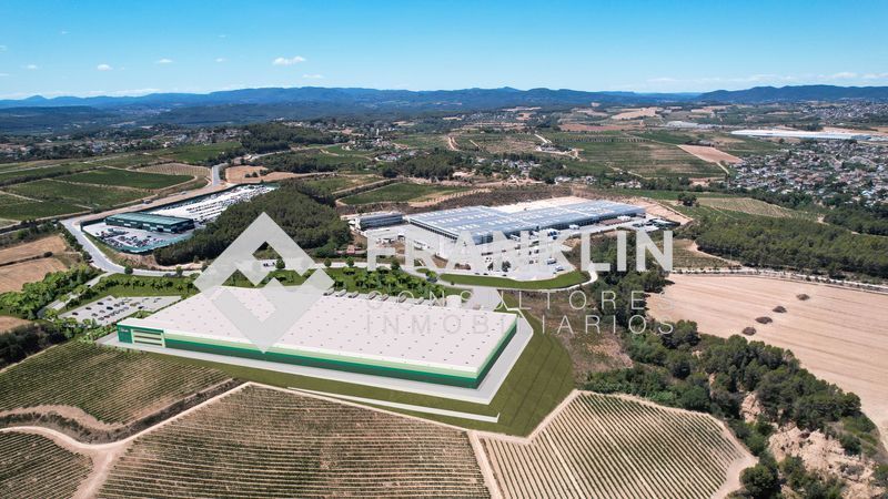 Industrial buildings to rent in Masquefa