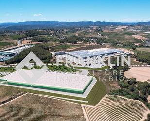 Industrial buildings to rent in Masquefa