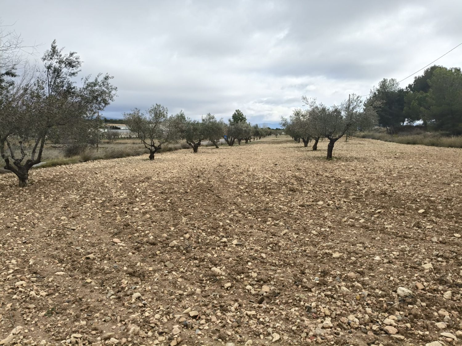 Finca rústica en venda en Castalla