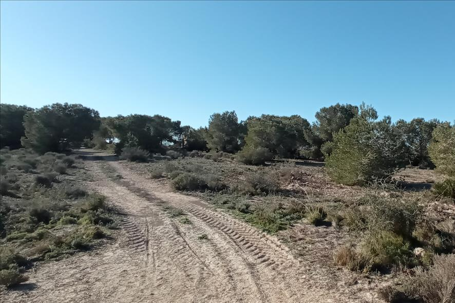 Residential for sale in Los Montesinos