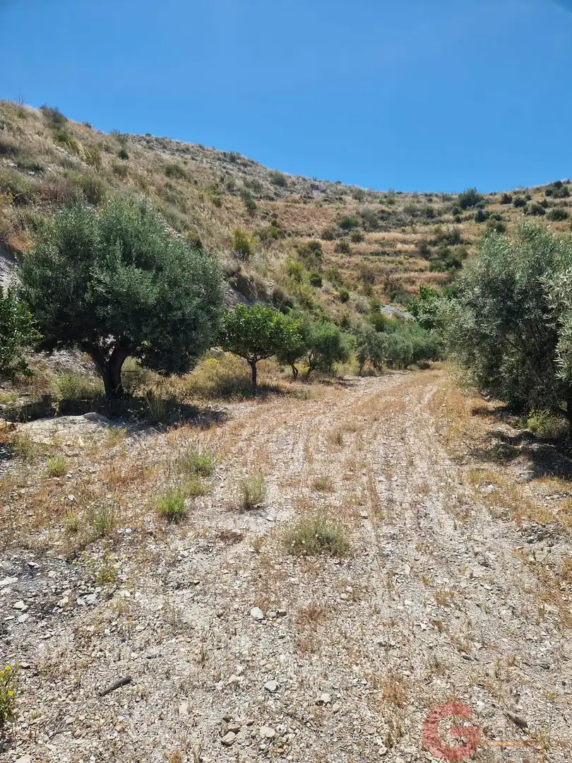 Casa rustica in vendita a Los Tablones - La Garnatilla, imagen 24