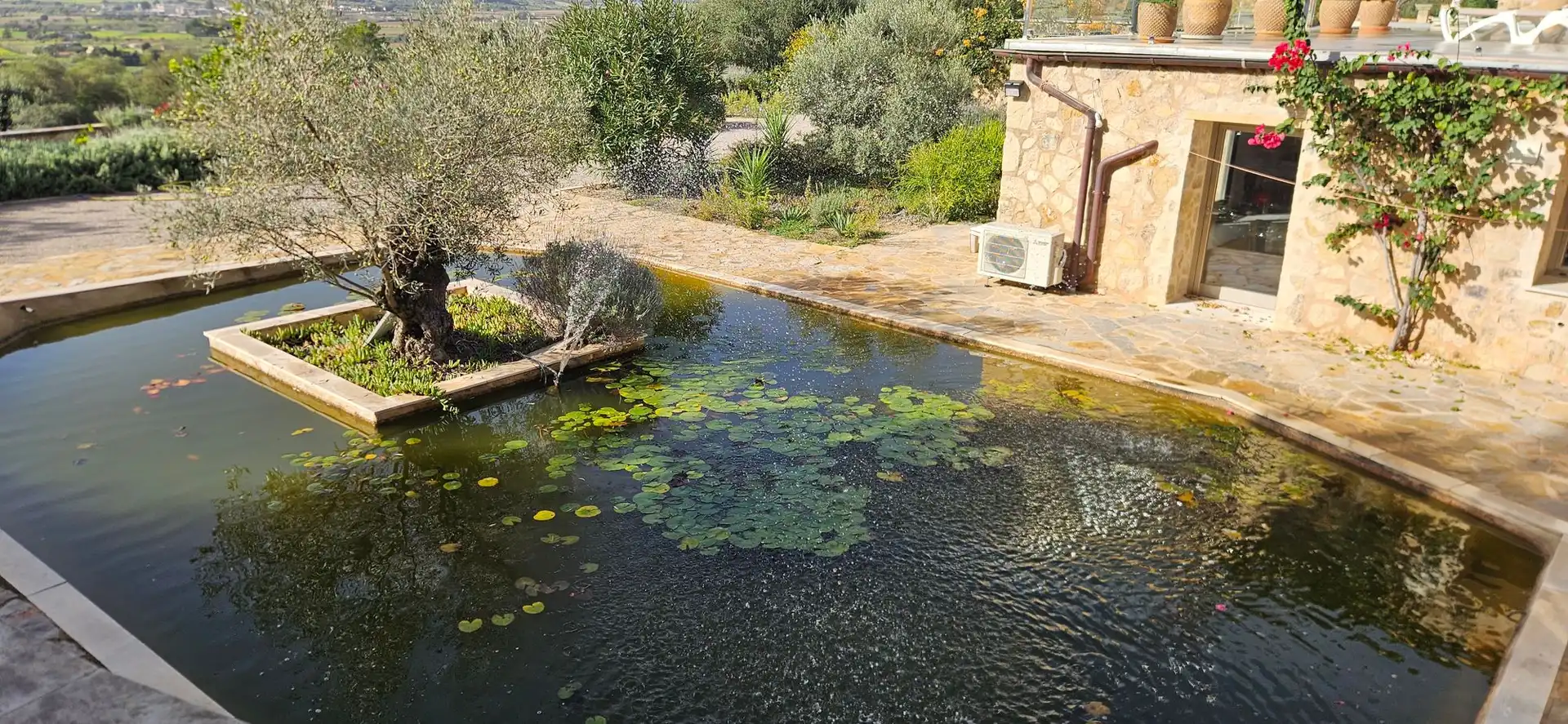 Swimming pool of Houses for rent in Porreres  with Terrace