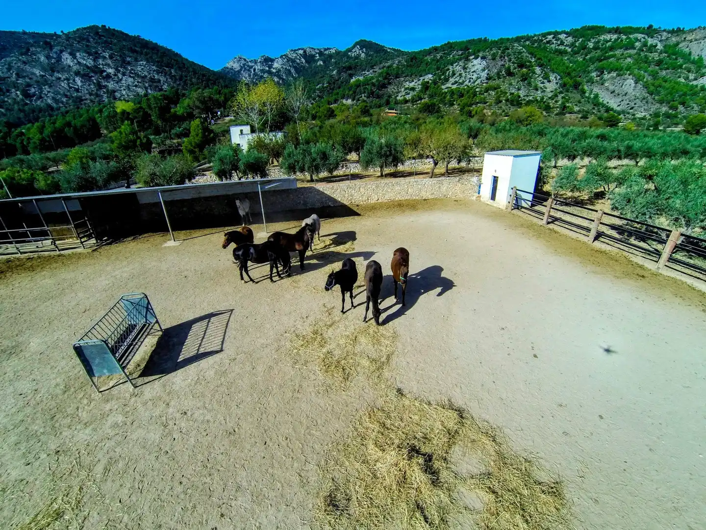 Villa mit Pool zum Verkauf in Muro de Alcoy, imagen 7