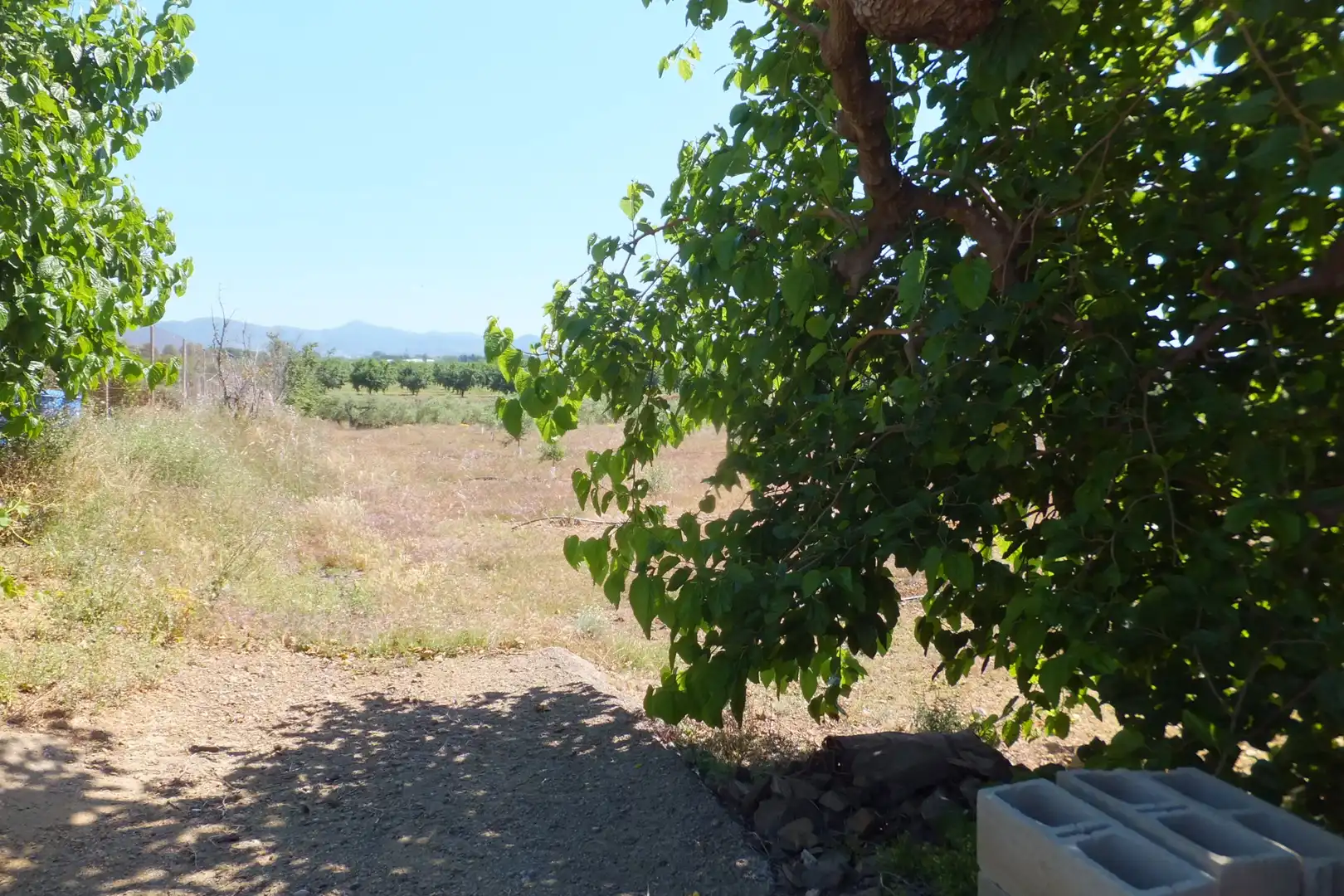 Terreno rústico en venta en Botarell, imagen 46