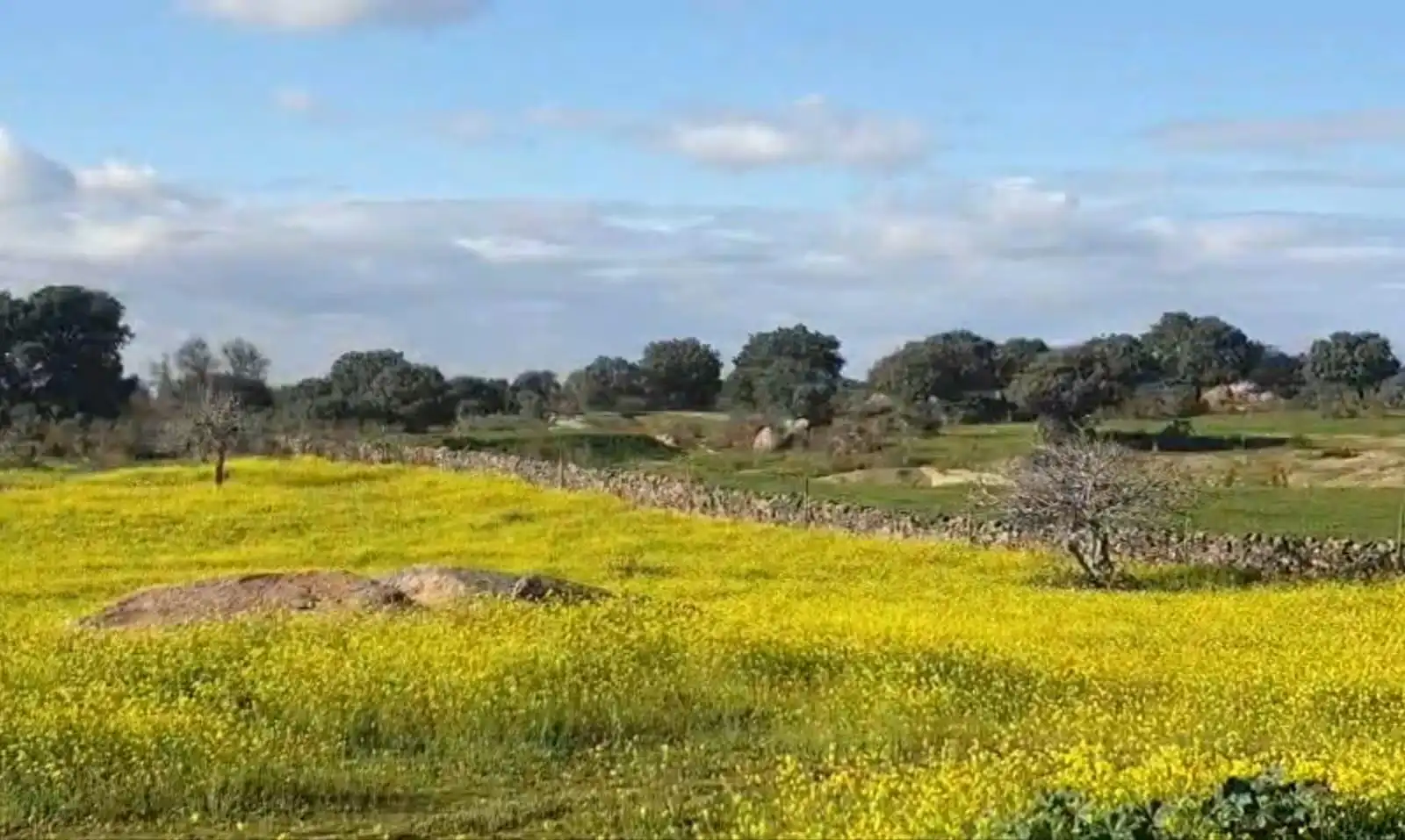 Terreni e lotti in vendita a Aldea del Cano