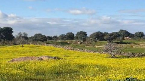 Finca rústica de 250.000 m2!!