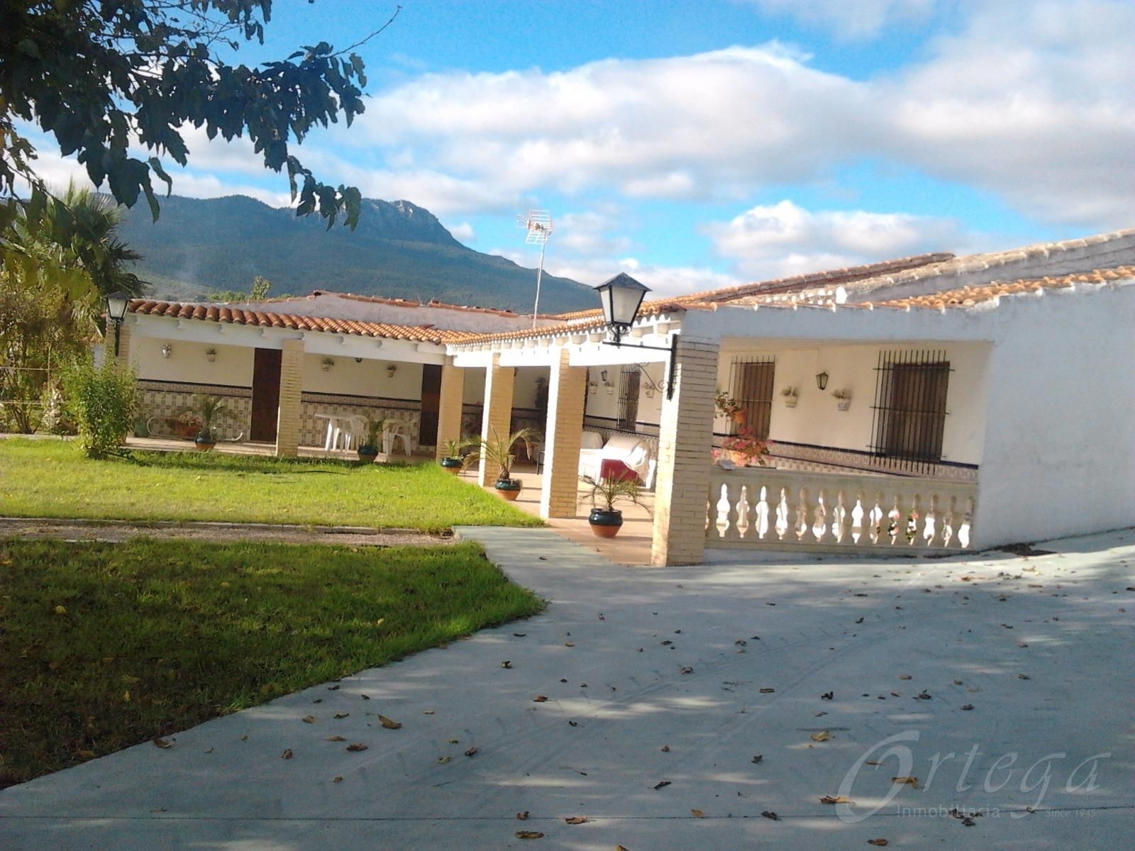 Vista exterior de Casa o xalet en venda en Moratalla amb Aire condicionat, Jardí privat i Terrassa