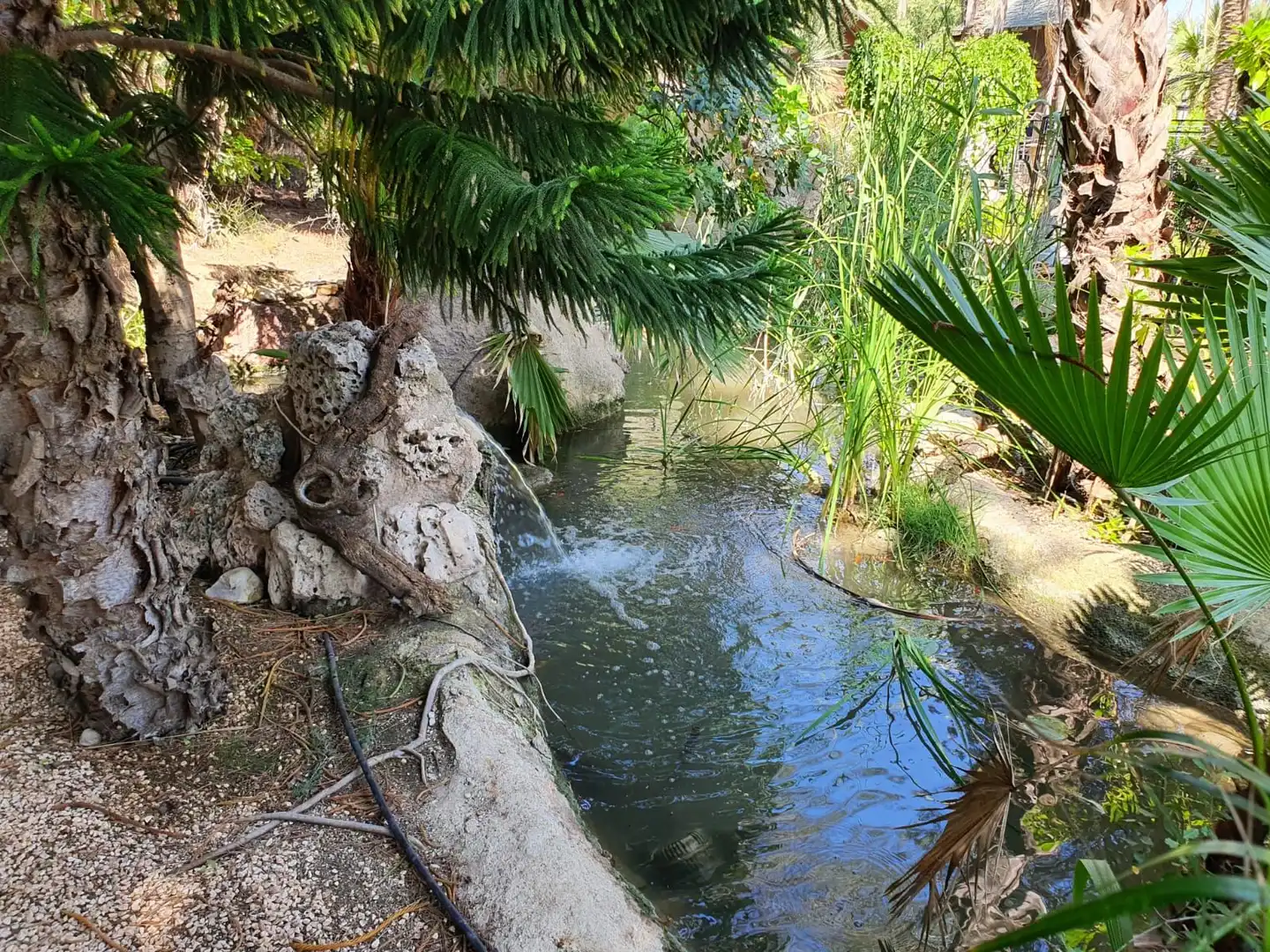 Jardín de Casa o chalet en venta en Murcia con Trastero y Piscina