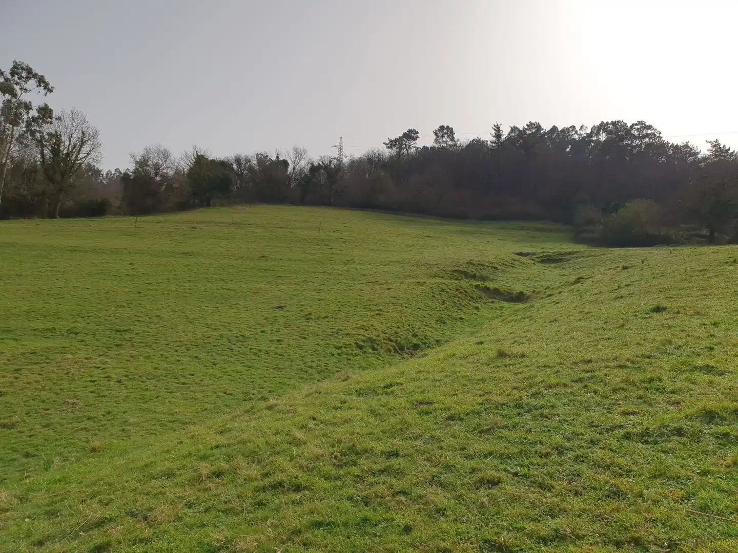 Maison rustique à vendre à Grado, imagen 13