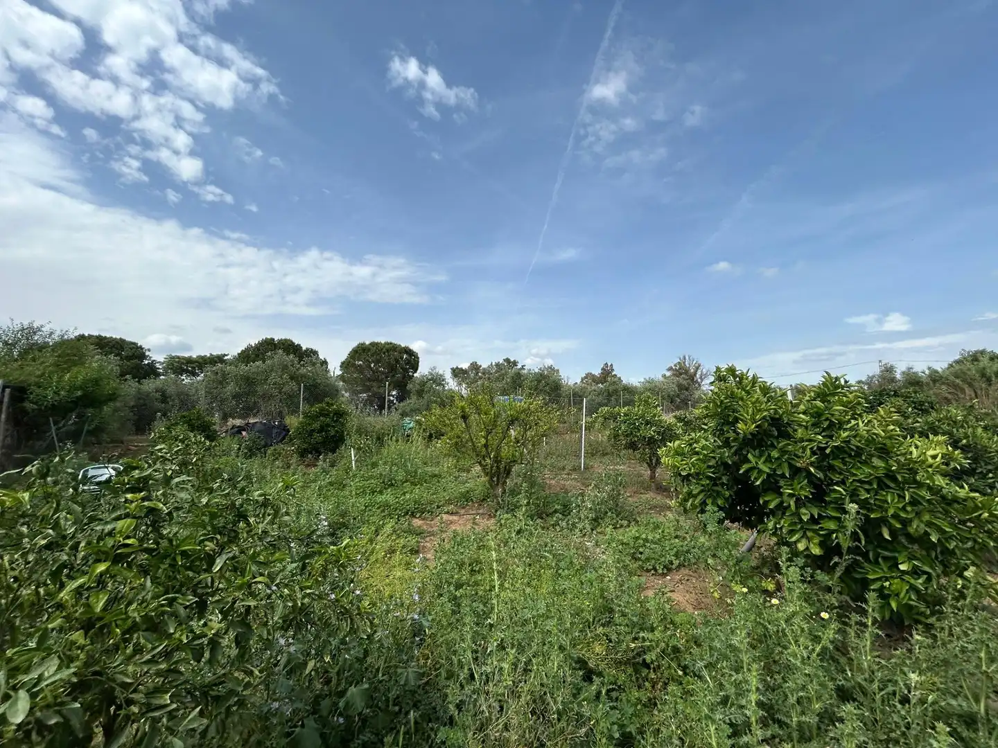 Finca rústica en venta en Utrera