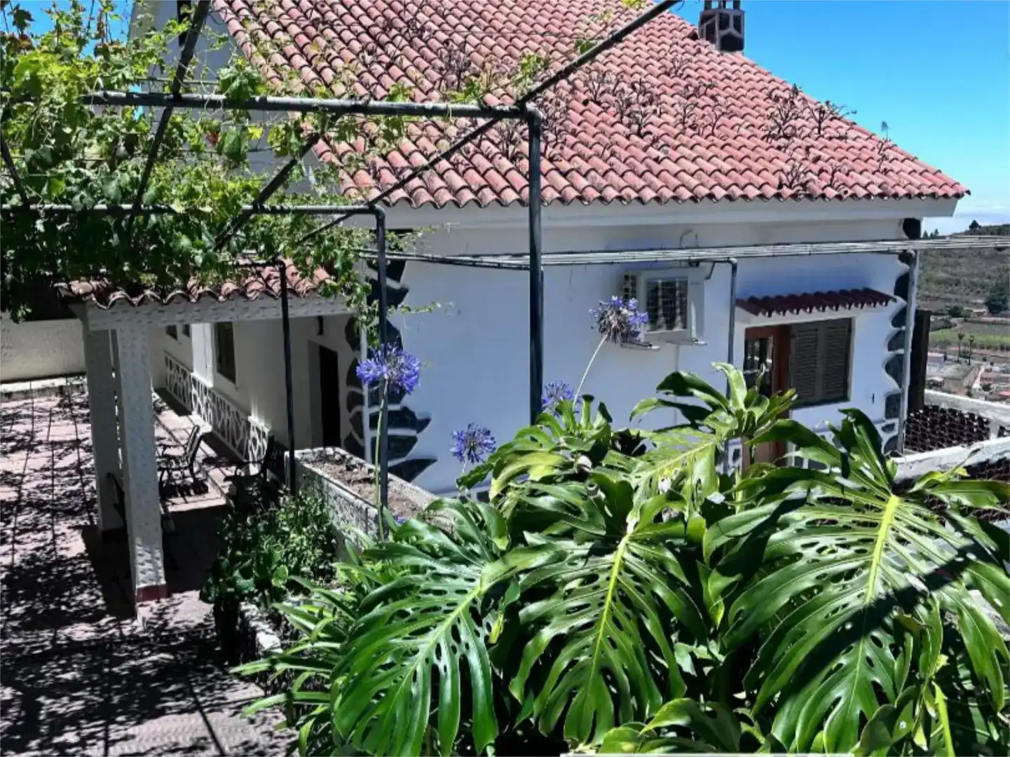 Jardí de Casa o xalet en venda en Vega de San Mateo amb Aire condicionat, Piscina i Balcó