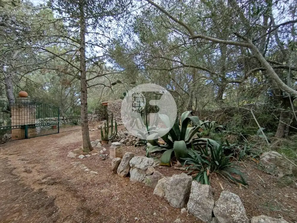 Casa o chalet de alquiler en Llucmajor, Illes Balears