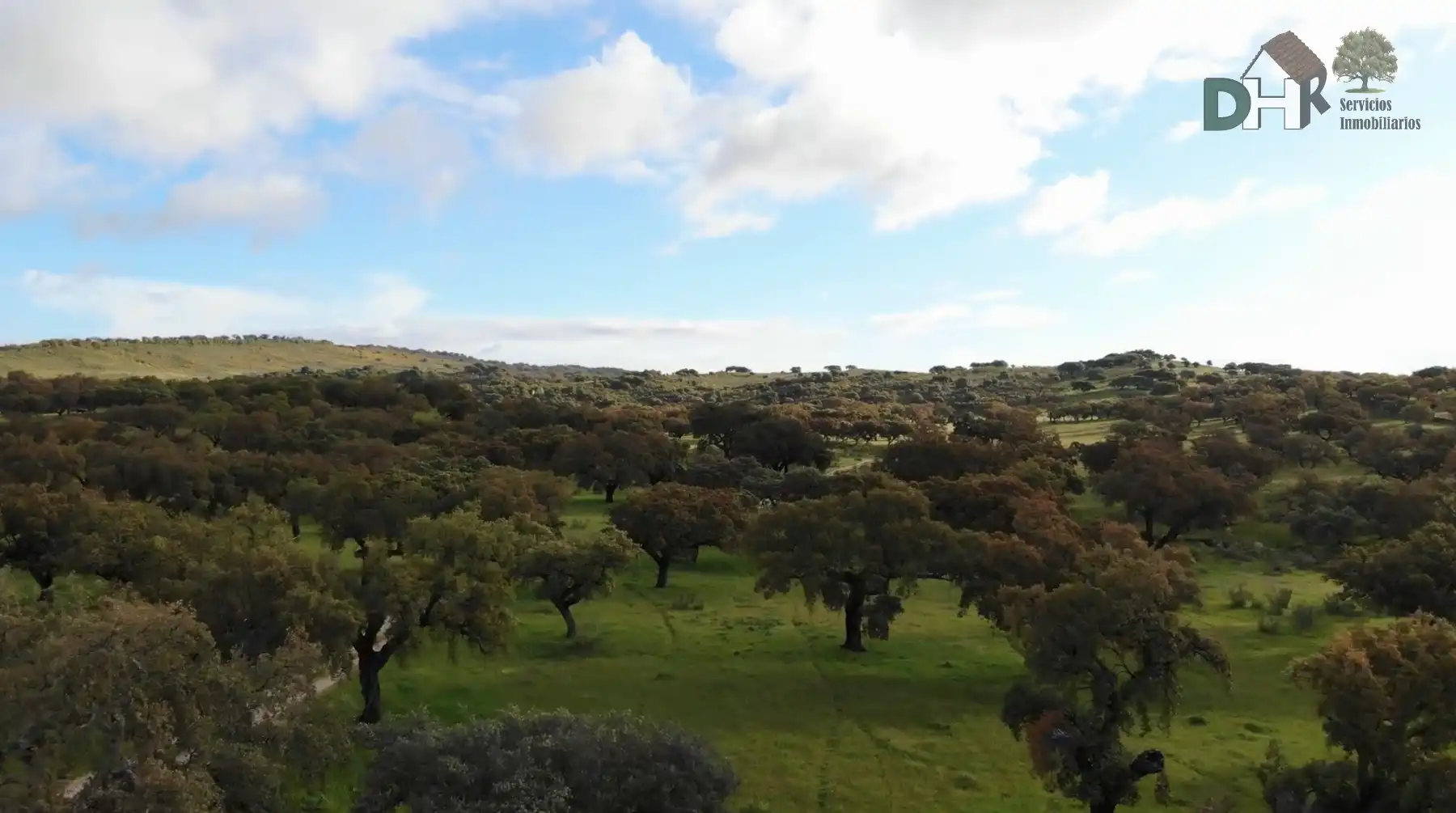 Terreni e lotti in vendita a San Roque - Ronda Norte, imagen 4