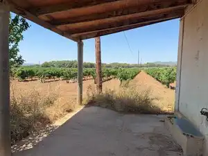 Terreno en venta en Banyeres del Penedès