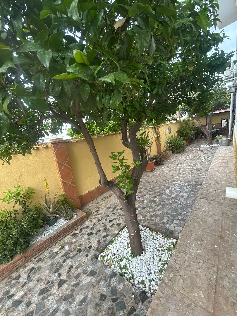 Jardí de Casa o xalet en venda en Alhaurín de la Torre amb Aire condicionat, Jardí privat i Terrassa