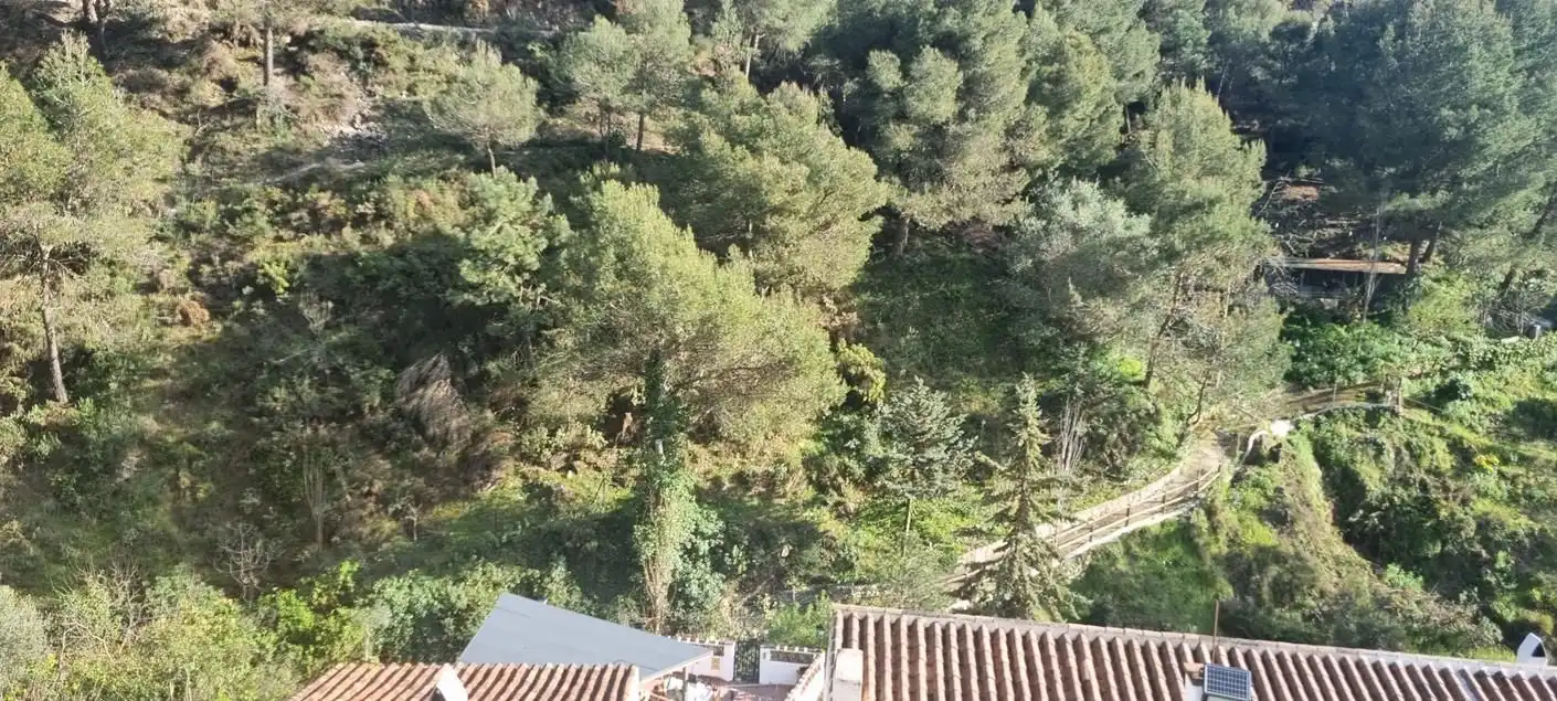 Detached homes for sale in Cómpeta  with Terrace and Swimming Pool