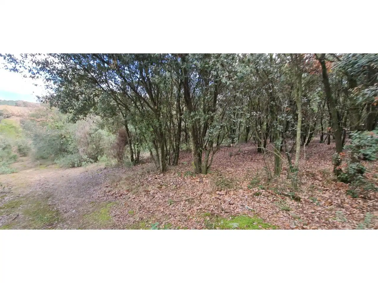 Rural land for sale in Lliçà d'Amunt, imagen 12