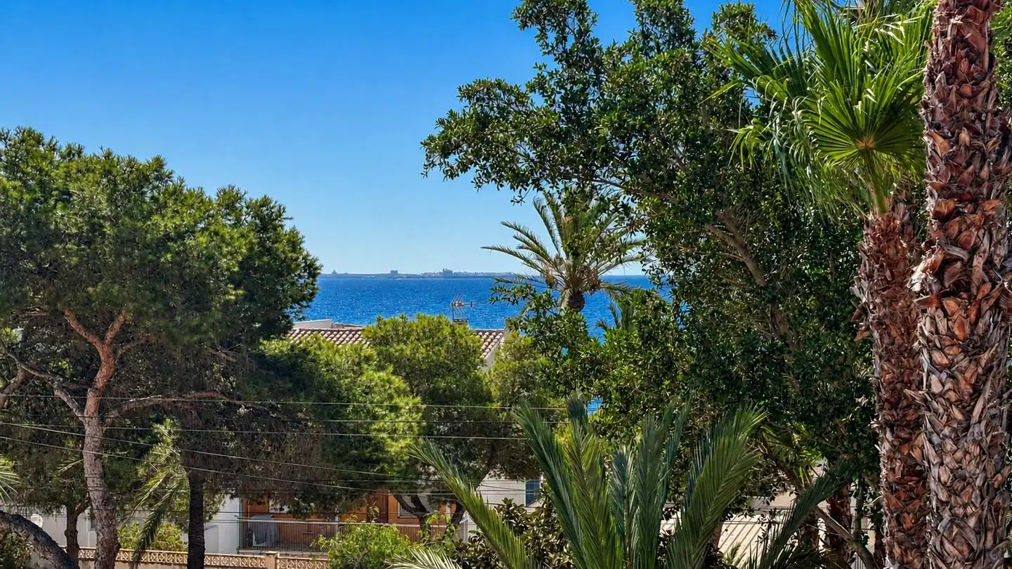 Vista exterior de Casa o xalet en venda en Santa Pola amb Aire condicionat, Jardí privat i Terrassa