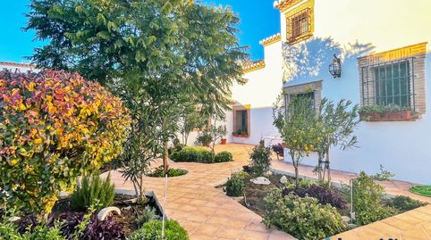 REF:151223678 SE VENDE CASA DE CAMPO EN VILLANUEVA DE LA CONCEPCIÓN (MÁLAGA)., imatge 4